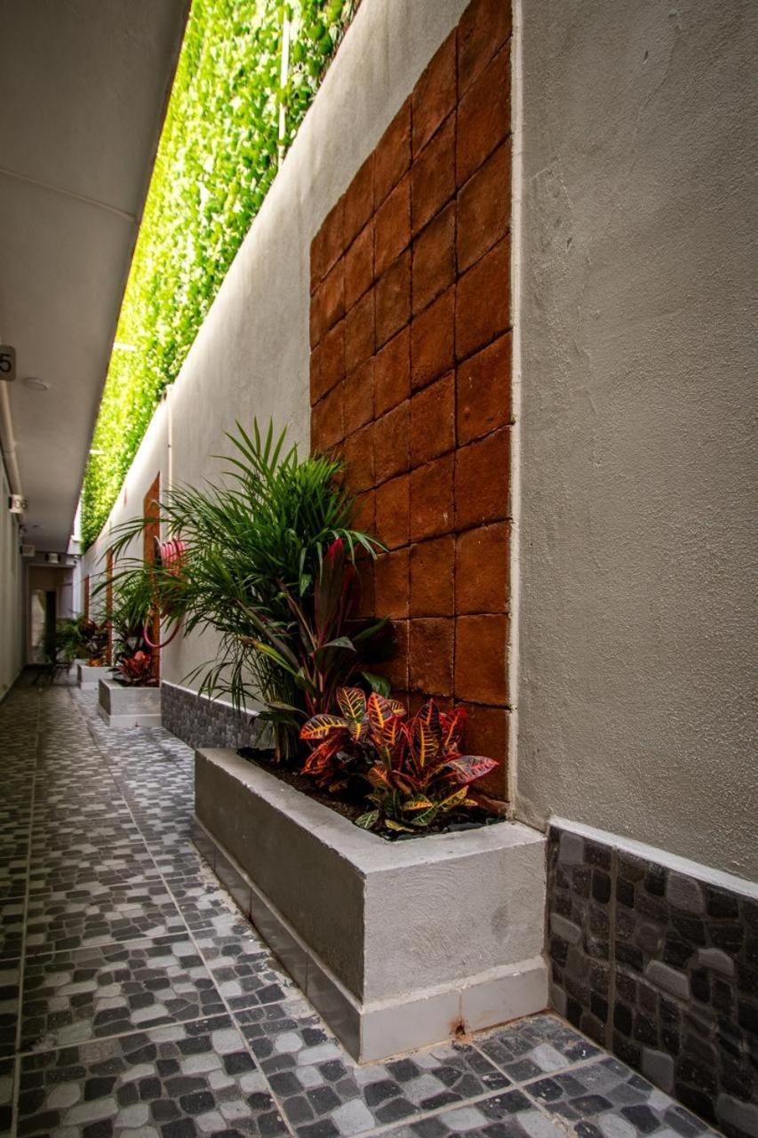 Hotel El Rincon San Francisco Del Rincon Exterior photo